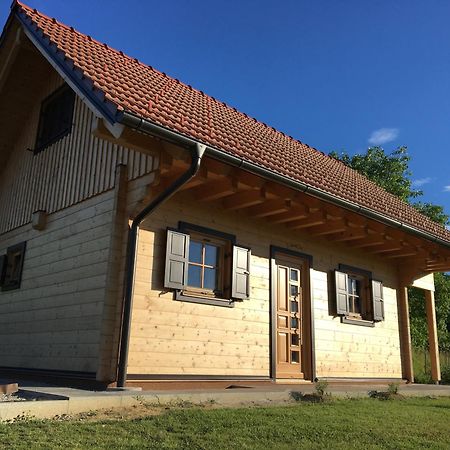 Loghouse Brunka - Escape From Life On A Highway Vila Gornja Radgona Exterior foto