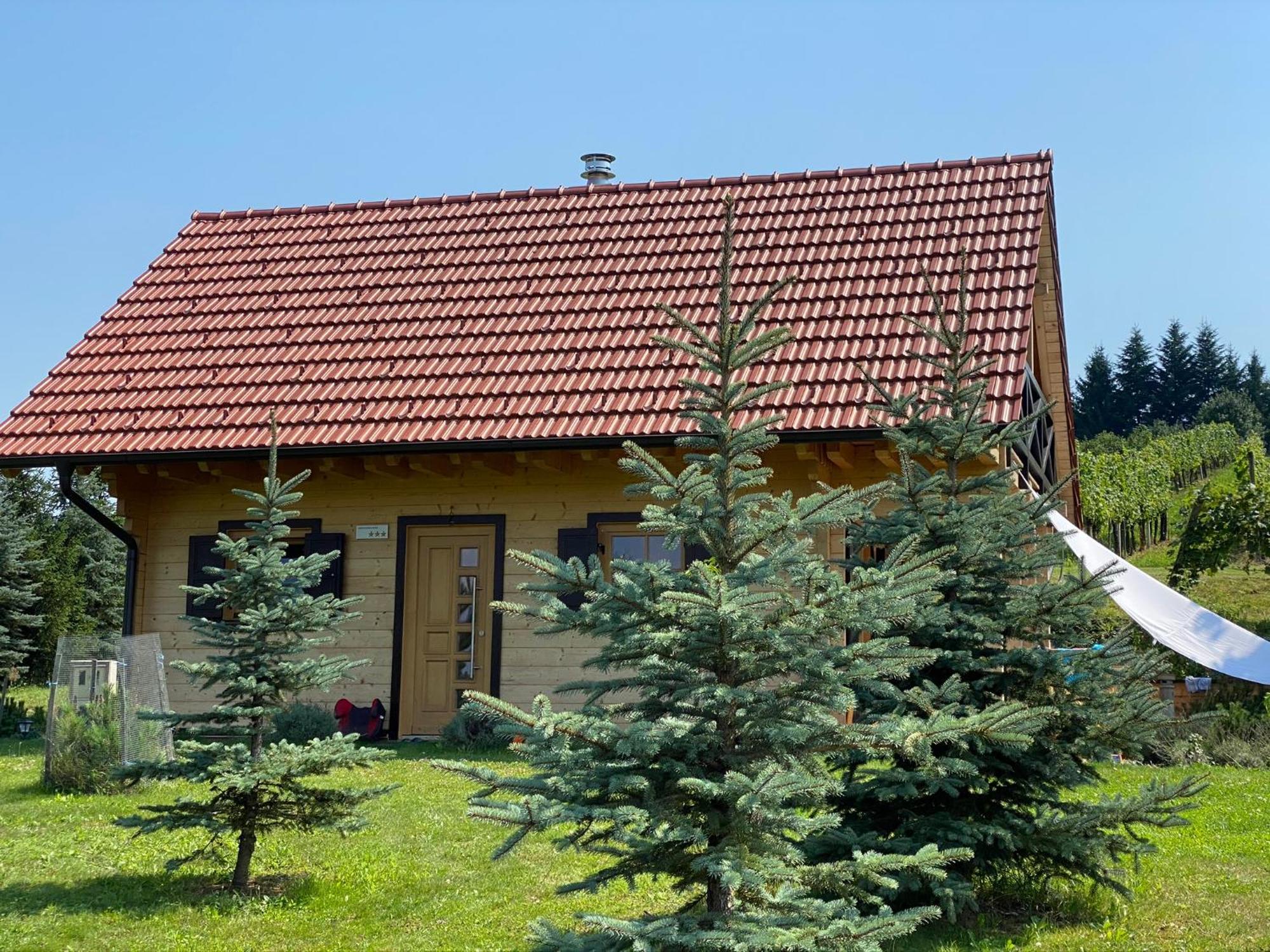 Loghouse Brunka - Escape From Life On A Highway Vila Gornja Radgona Exterior foto